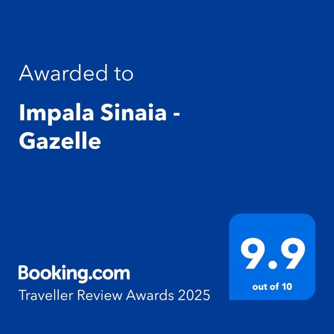 Apartamento Impala Sinaia - Gazelle Exterior foto